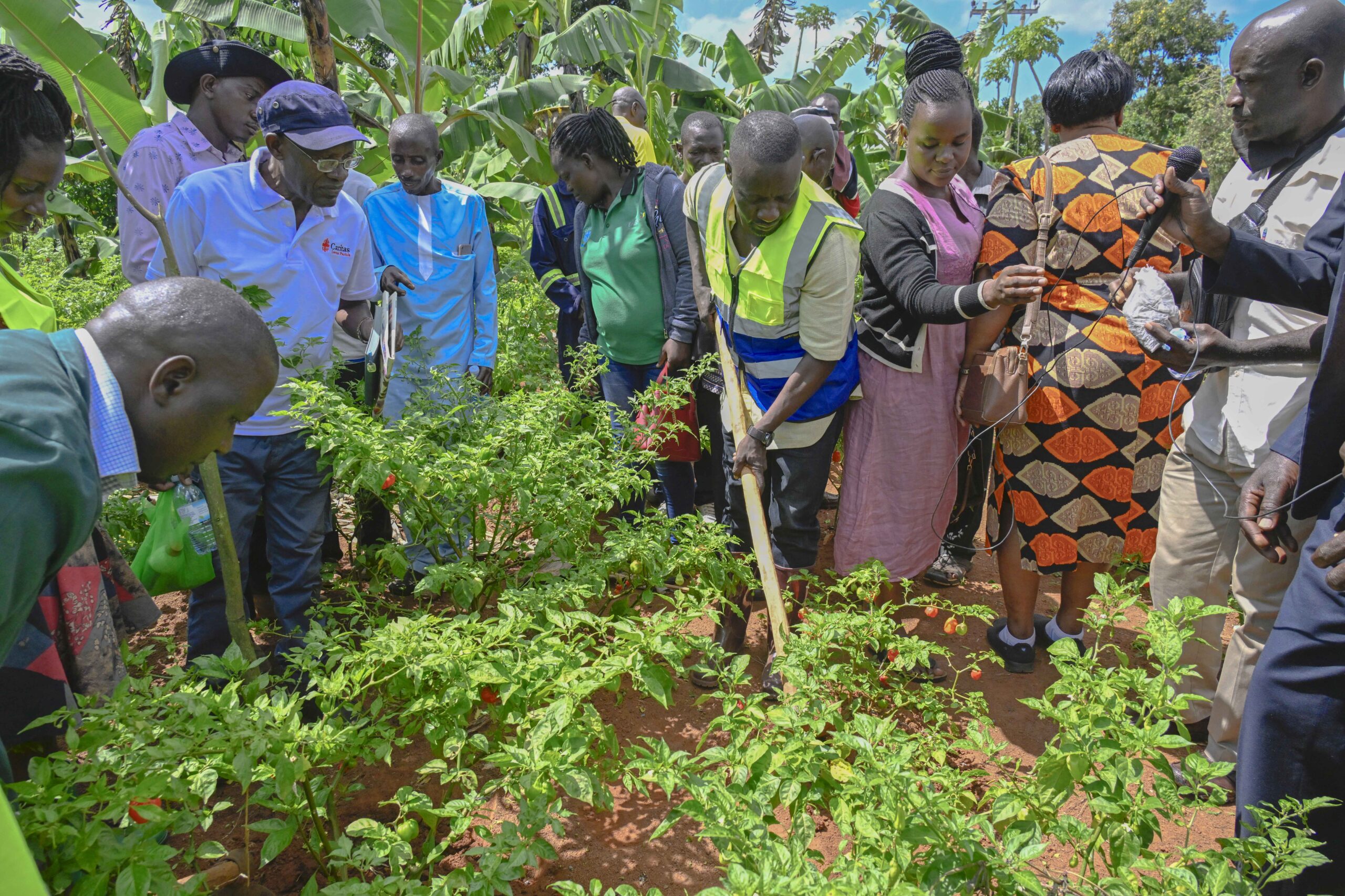 6- Trends Agro 4-acre Model Farming Association Launched