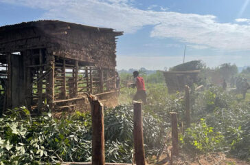 Lubigi-wetland-restoration