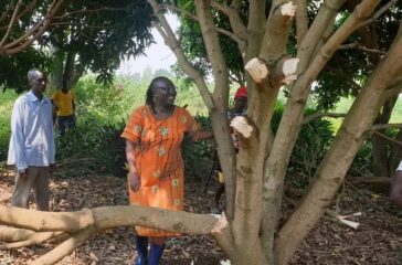 norah owaraga