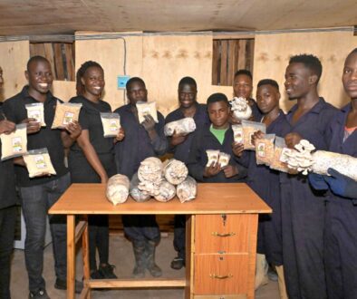 Kirya Abubaker a mushroom farmer in of Kiira-Bulindo-Wakiso