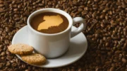 Uganda to beat December deadline on European Union coffee exports