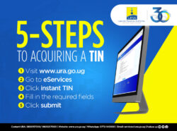 5-steps-to-acquire-a-TIN-1024x763