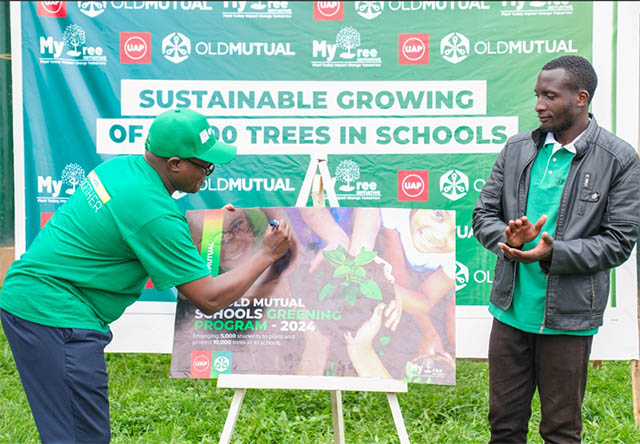 Greening program to plan 10,000 trees in schools