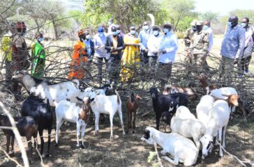 Museveni visits Amudat farmer Amos Rhembuss2