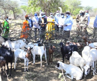 Museveni visits Amudat farmer Amos Rhembuss2