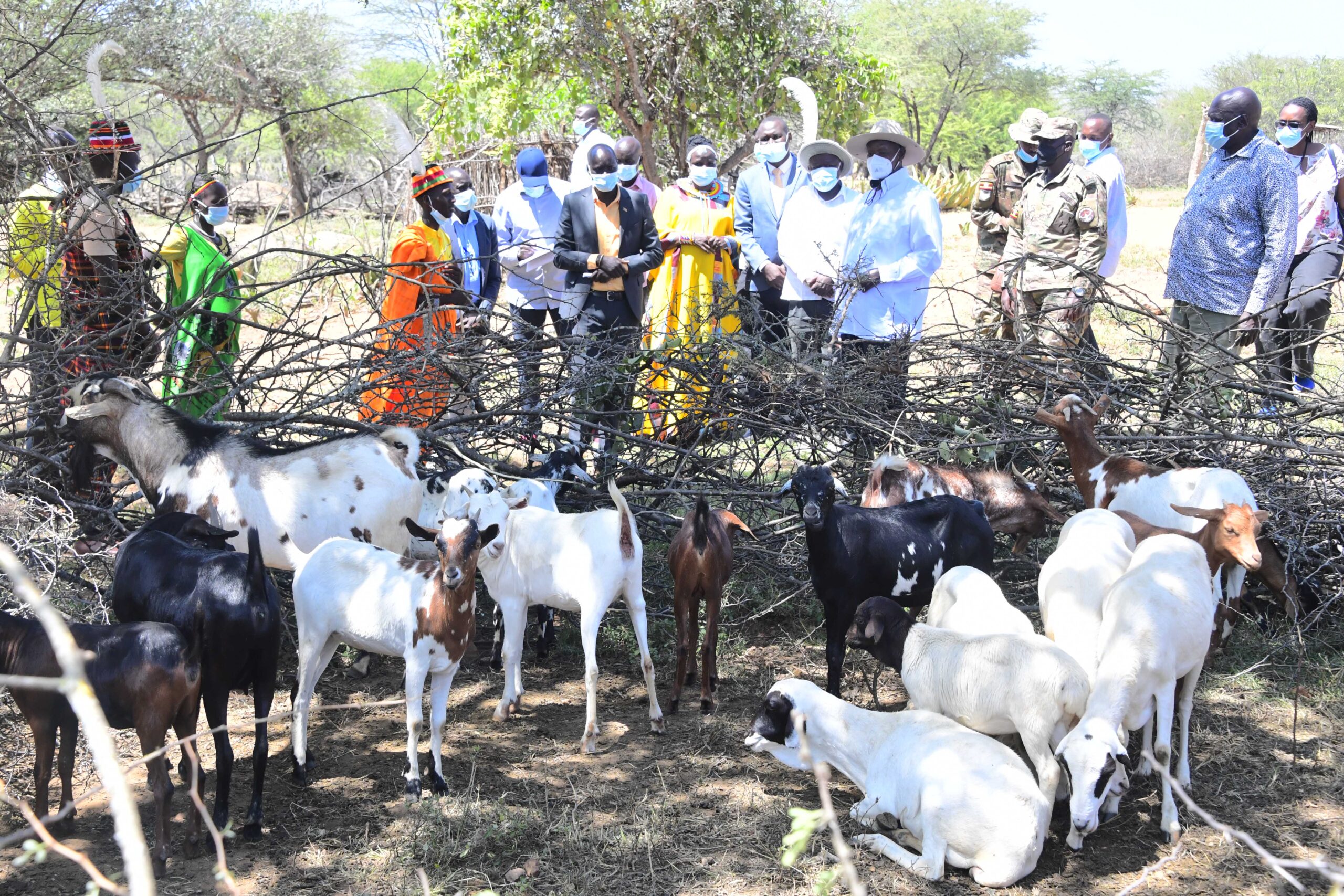 Museveni visits Amudat farmer Amos Rhembuss2