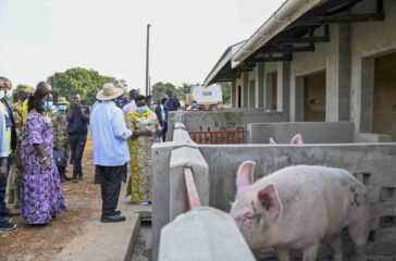 President-Museveni-PDM-regional-wealth-creation-assessment-tour-in-Teso-sub-region-3-1024x683