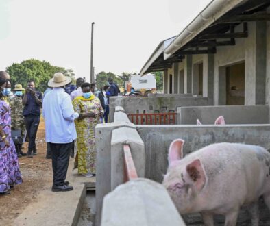 President-Museveni-PDM-regional-wealth-creation-assessment-tour-in-Teso-sub-region-3-1024x683