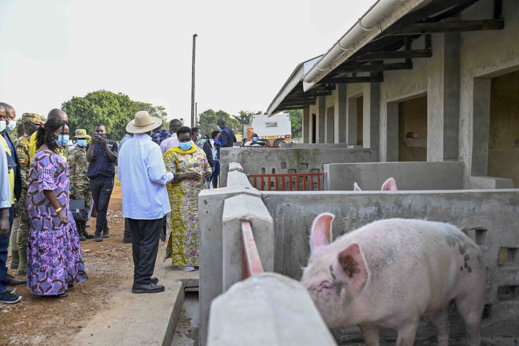 President-Museveni-PDM-regional-wealth-creation-assessment-tour-in-Teso-sub-region-3-1024x683