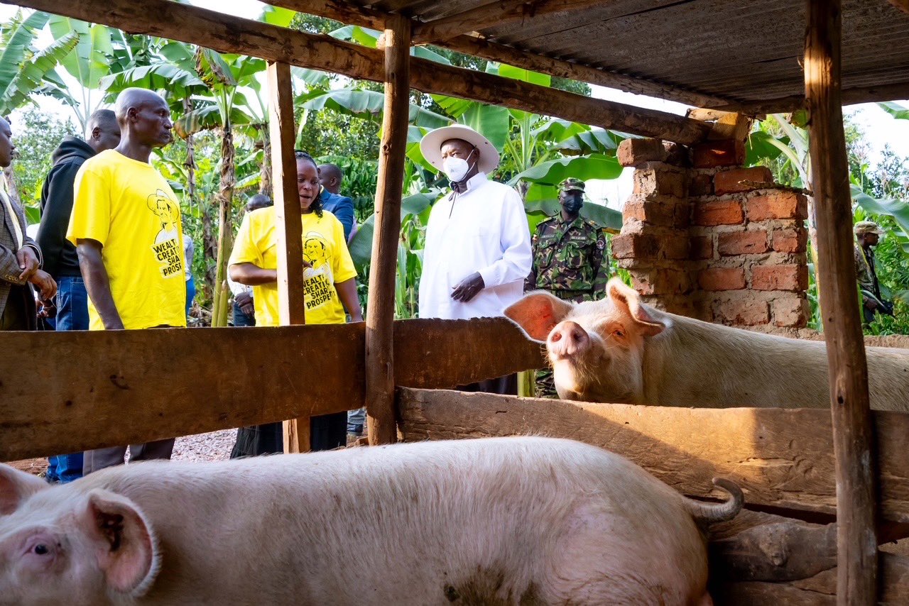 Museveni hails Pdm success in greater Mukono