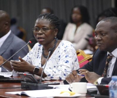 Hon. Nekesa (C) makes her point during the committee sitting
