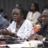 Hon. Nekesa (C) makes her point during the committee sitting