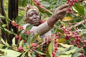 practice-for-change-coffee-uganda