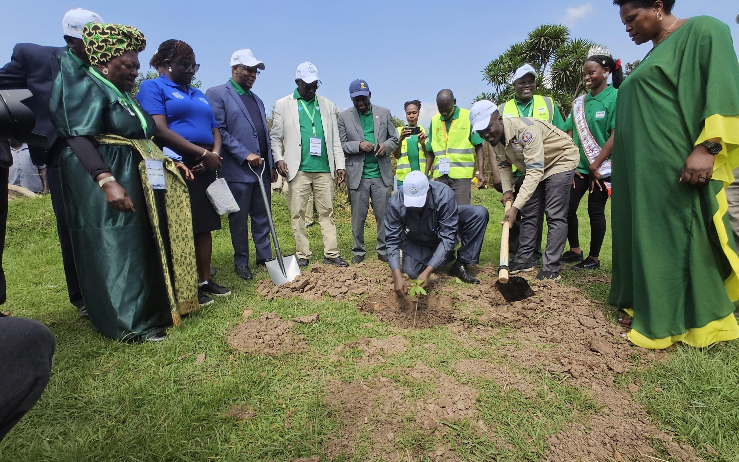 totalenergies-tree-planting totalenergies-tree-planting