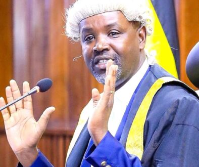 Deputy Speaker Tayebwa was perturbed by the BCC documentary RESIZED