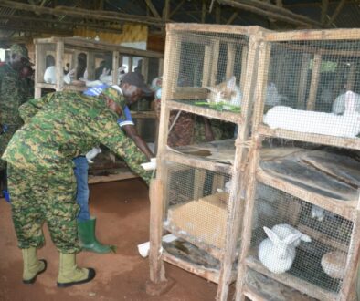 UPDF-Wazalendo-Sacco-members-on-a-guided-tour-2-2048x1365