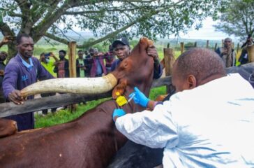 tumwebaze