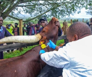 tumwebaze