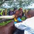 tumwebaze