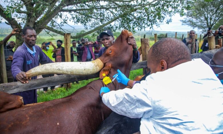 tumwebaze tumwebaze