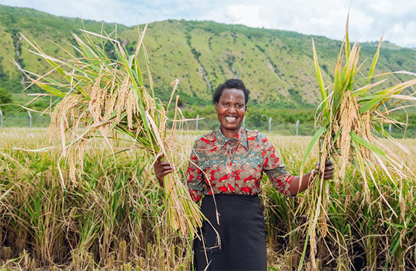 A farmer shows off her first harvest A farmer shows off her first harvest