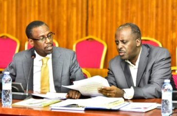 The Attorney General (L) and the Minister of State for Internal Affairs appearing before the joint committee RESIZED