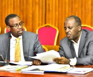 The Attorney General (L) and the Minister of State for Internal Affairs appearing before the joint committee RESIZED