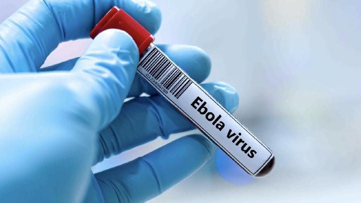 Top African countries at high Ebola risk