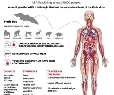 ebola-virus
