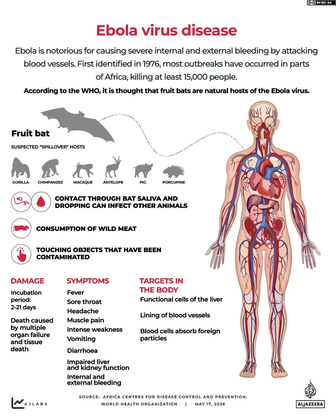 Why Ebola keeps returning to DR Congo