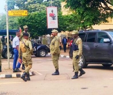 parliament movements