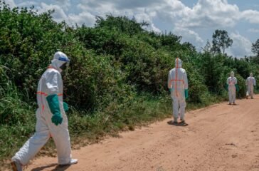 ebola caviate