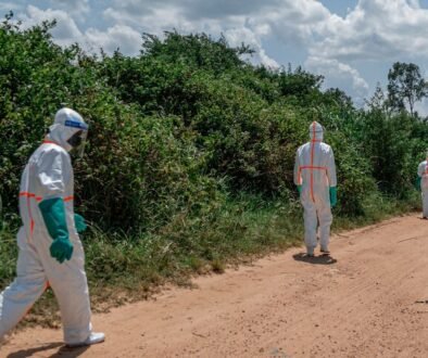 ebola caviate