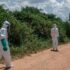 ebola caviate
