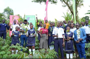 Namilyango-trees-1
