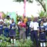 Namilyango-trees-1