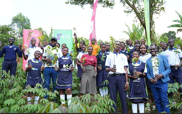ICEA LION, KCB Bank in trees schools drive