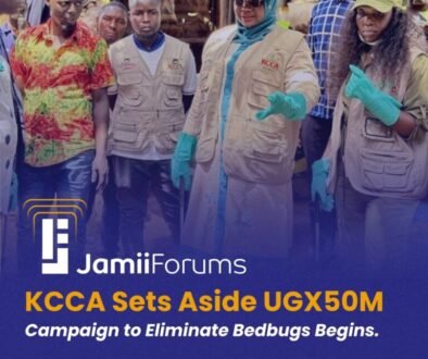 kcca bedbugs