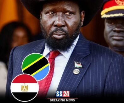 south-sudan-president-salva-kiir