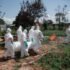 ebola-congo