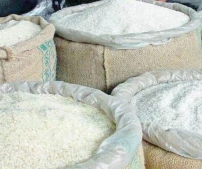 rice0