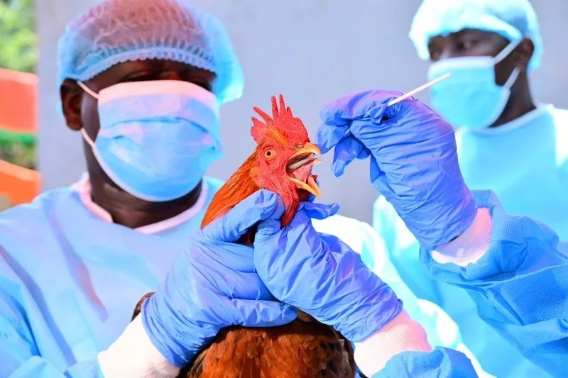 US, Kenya launch new biosecurity tools