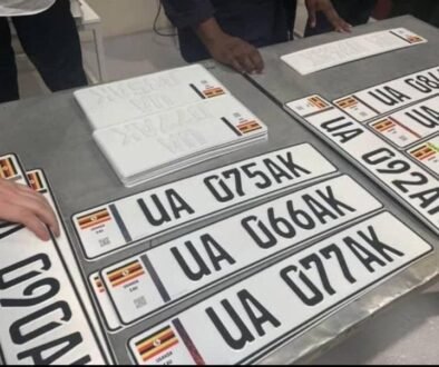 ditigal number plates2