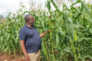 kenyan-farmer