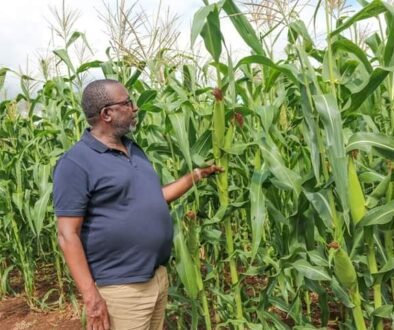 kenyan-farmer