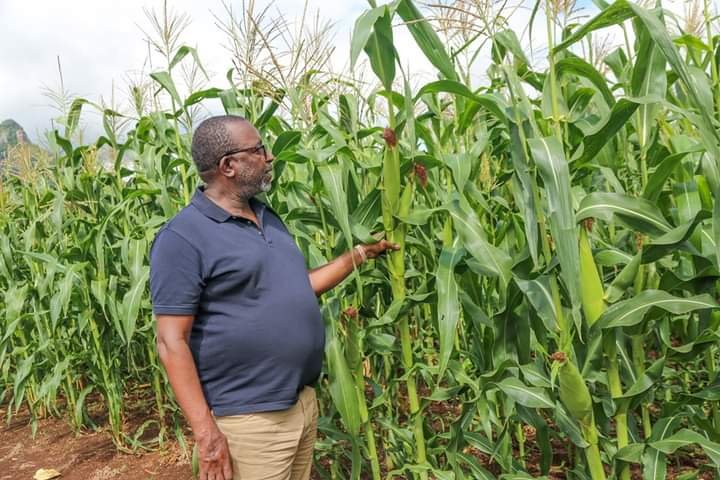 kenyan-farmer