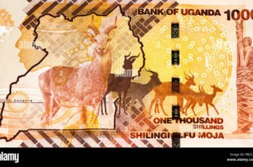 1000-ugandan-shillings-bank-note-ugandan-shilling-is-the-national-currency-of-uganda-PB2C2C