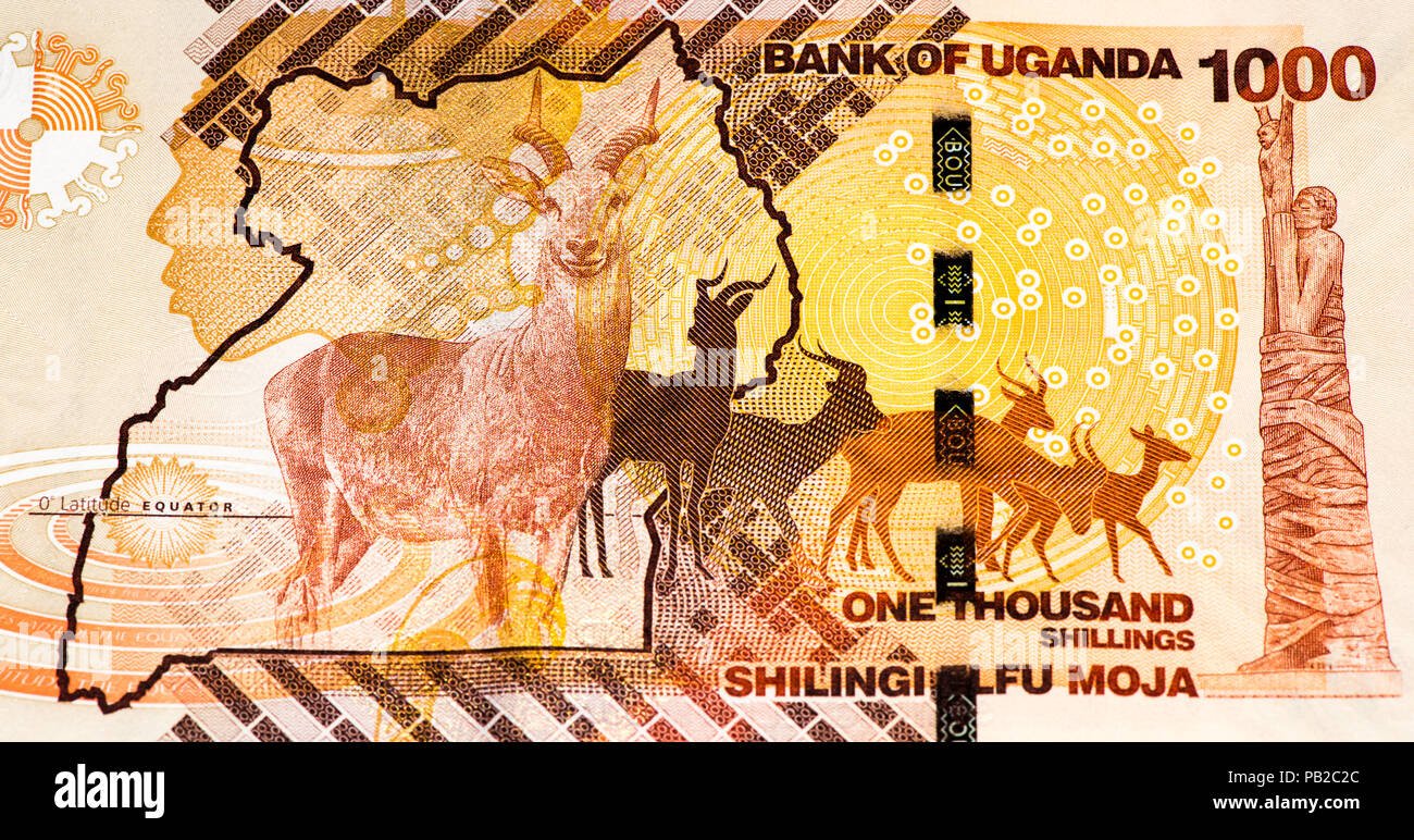 1000-ugandan-shillings-bank-note-ugandan-shilling-is-the-national-currency-of-uganda-PB2C2C