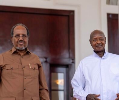 President Museveni meets Somali President, Hassan Sheikh Mohamud at State House Entebbe - 12