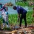 UBL Cleaning Luzira Market V06